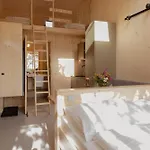 Biyou Ecoquartier In Den Bergen 3* Schladming