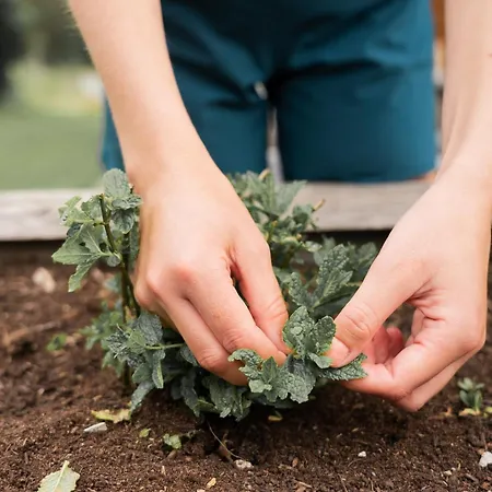 מלון Biyou Ecoquartier In Den Bergen