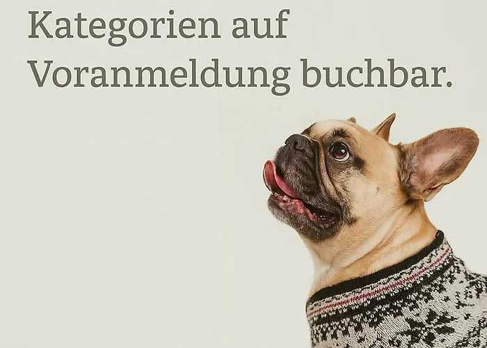 Hotel Biyou Ecoquartier In Den Bergen Schladming