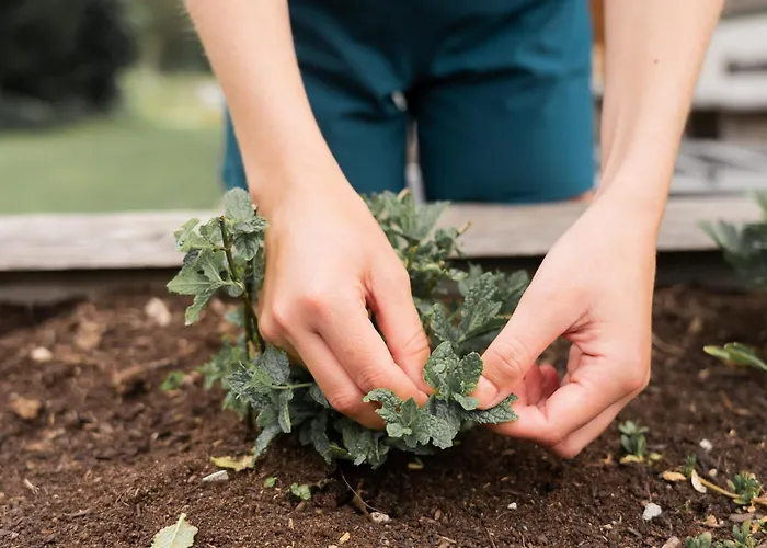 מלון Biyou Ecoquartier In Den Bergen